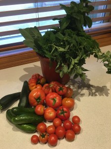 Harvest of the Day