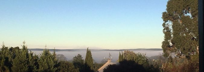 12919221_1159900360688120_1768758112_n