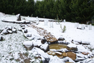 The MOTH's dry creek bed is transformed - beautiful!!